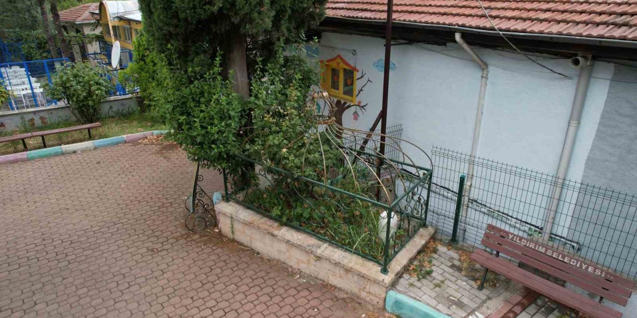 Osmanlı'nın büyük alimi Molla Arap Hazretleri'nin kabri bakımsızlığa terk edildi