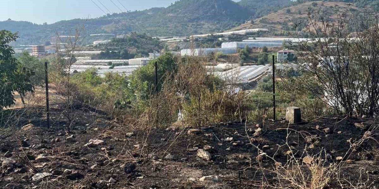Otluk alanda çıkan yangın korkuttu: Hızlı müdahale felaketi önledi