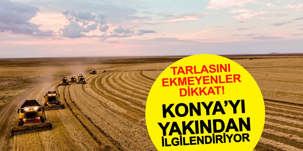 Konya’yı Yakından İlgilendiriyor: Ekilmeyen Araziler Kiraya Verilecek, Su Krizi Tartışmayı Alevlendirdi