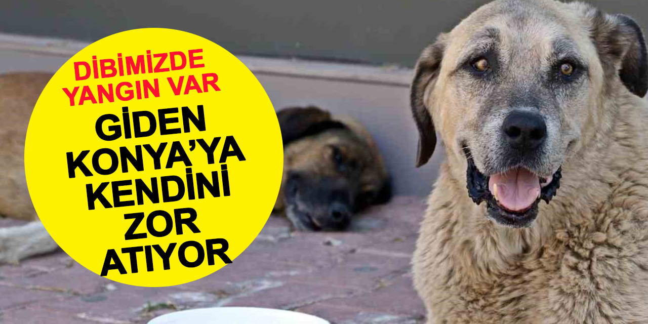 Konya'nın Dibi Yanıyor