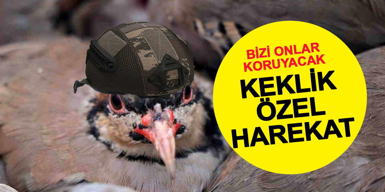 Kene Özel Harekat