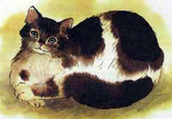 Yalancı Kedi ile Fareler