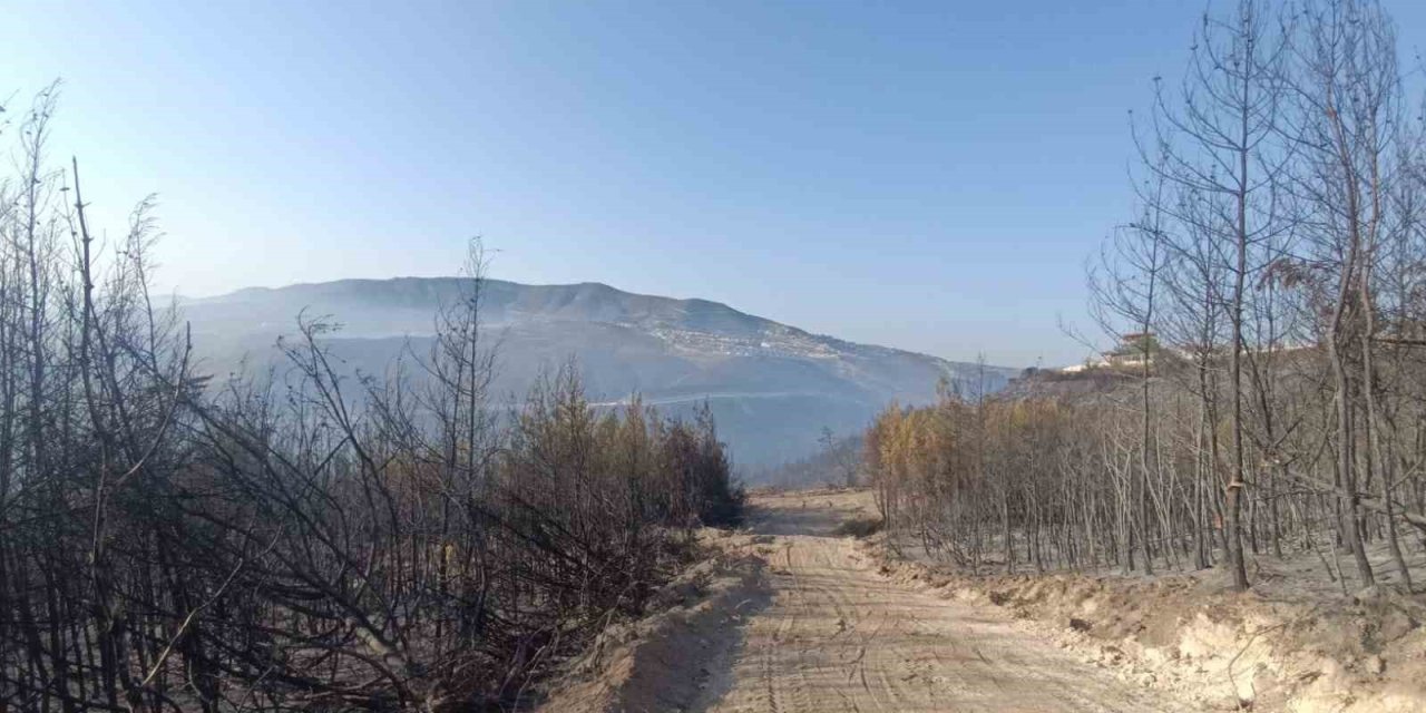 16 saatte kontrol altına alınan yangın 3 gün soğutulacak
