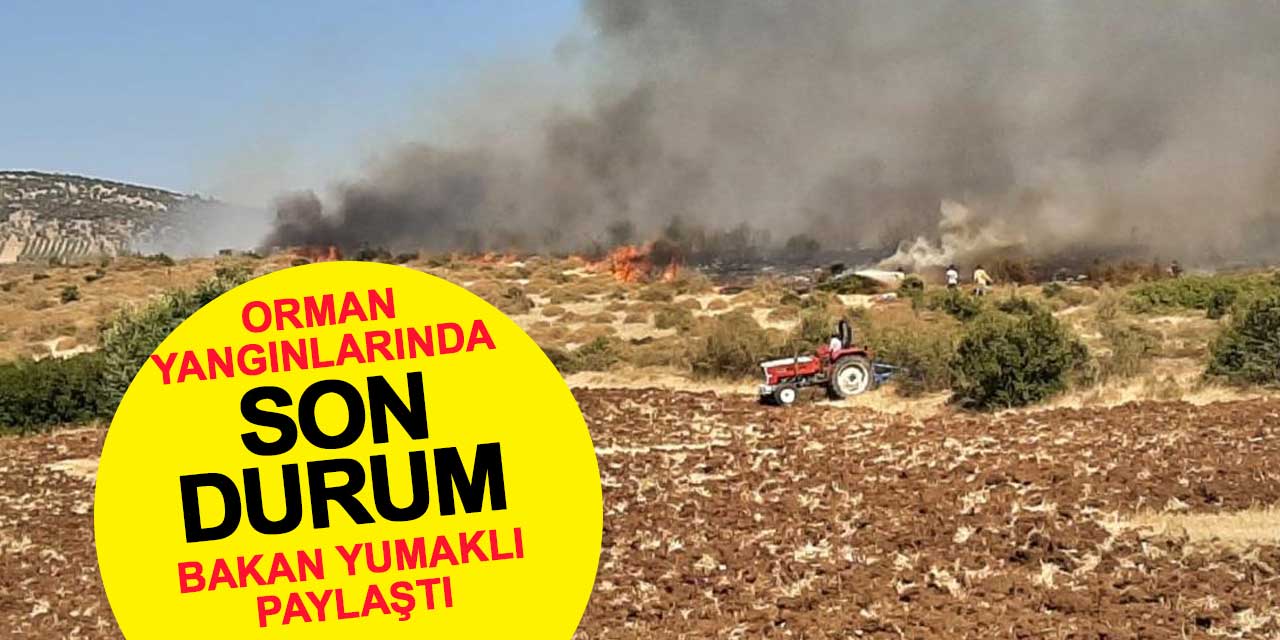 Orman yangınlarında son durum! Bakan Yumaklı paylaştı