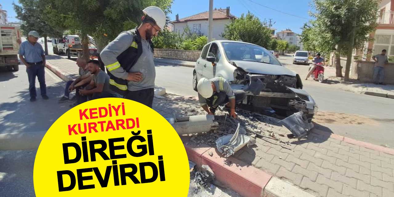 Kediyi kurtarmaya çalışırken direği devirdi