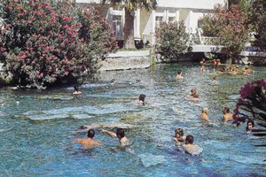 Böbrek hastalıklarının ilacı