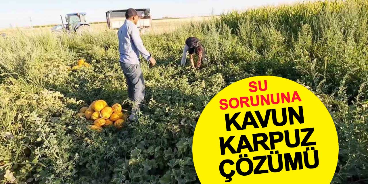 Su sorununu kavun karpuzla çözdüler