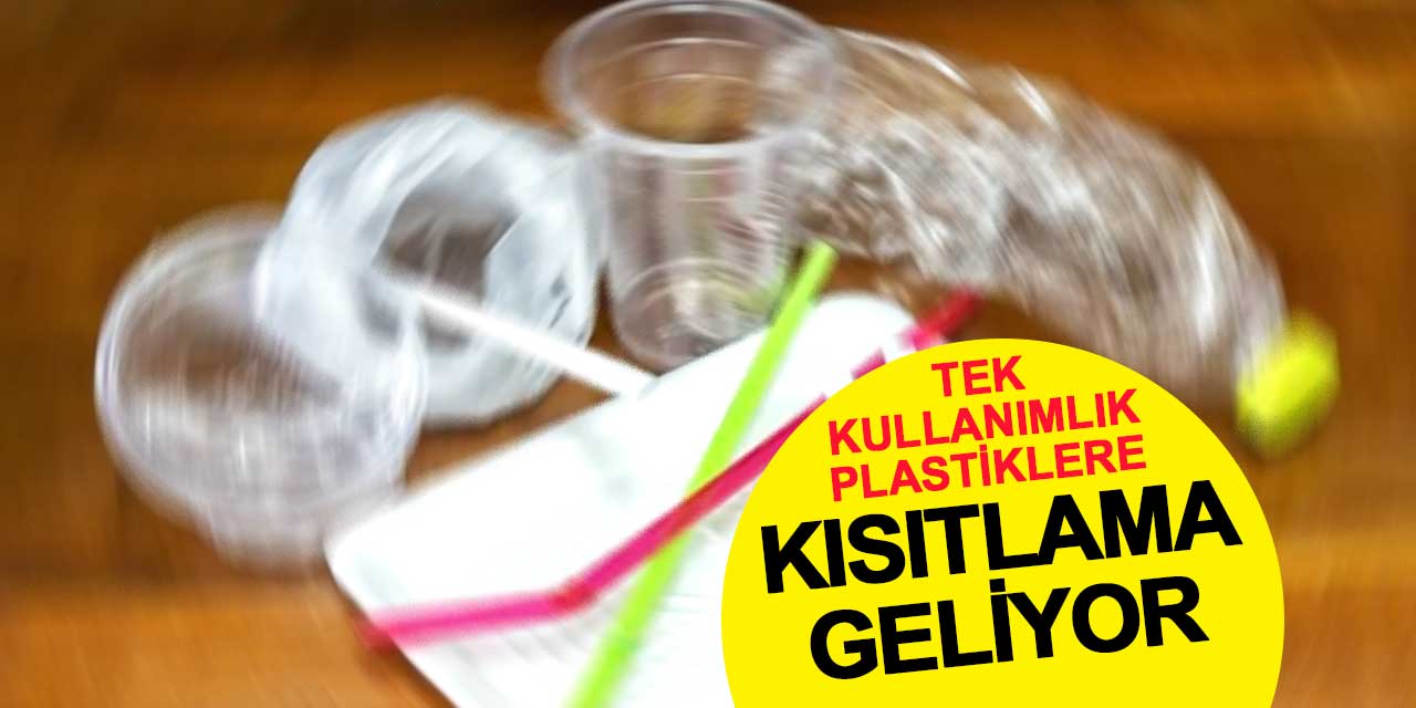Tek Kullanımlık Plastiklere Kısıtlama Geliyor