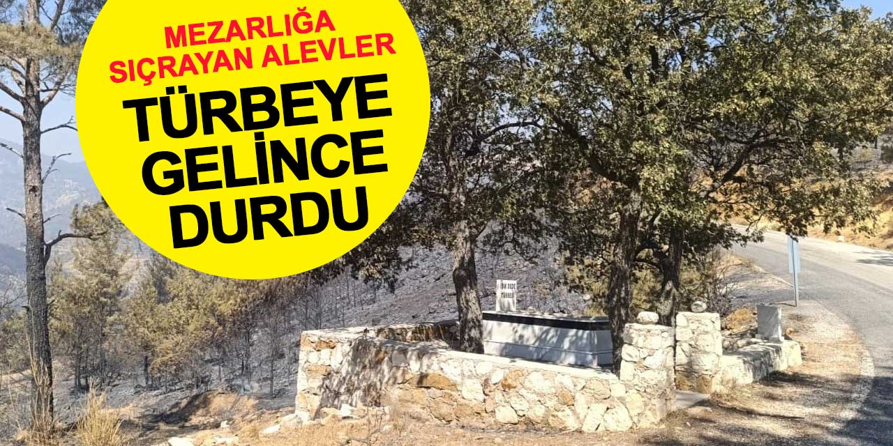 Mezarlığa sıçrayan alevler, türbeye gelince durdu