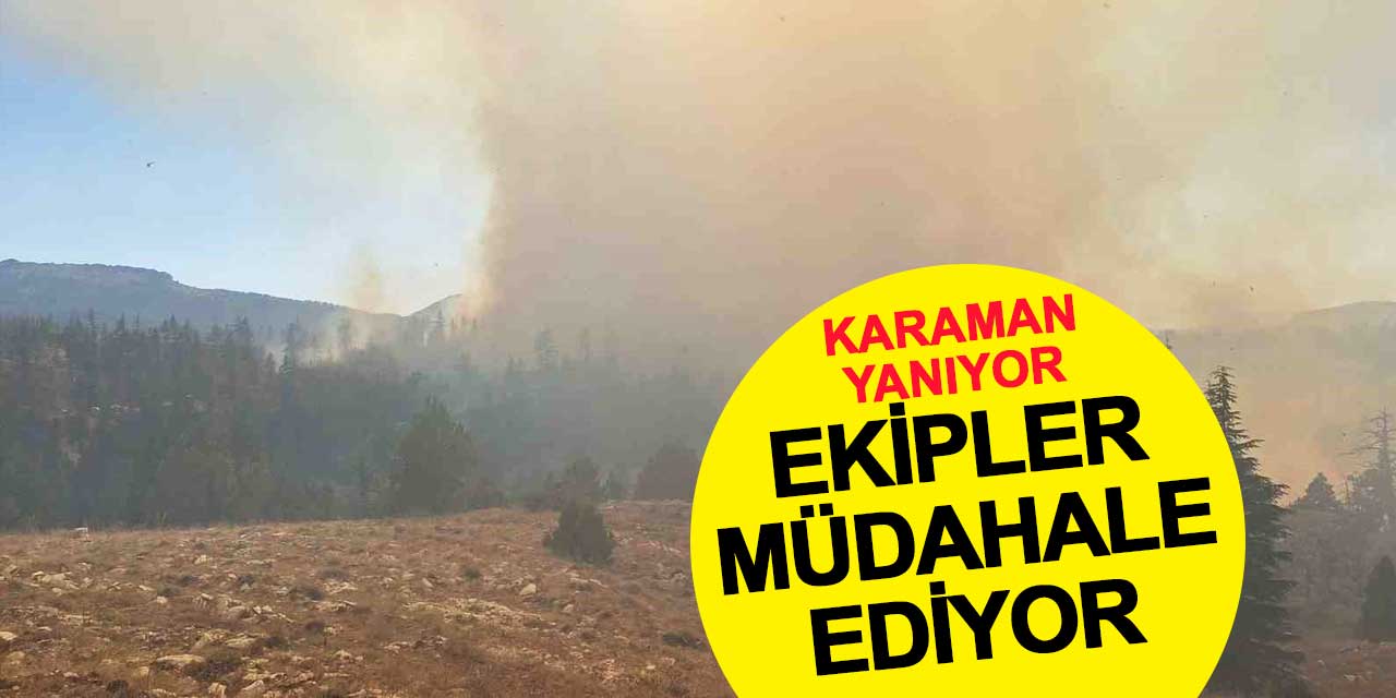 Ermenek ve Sarıveliler’de Orman Yangını: Karadan ve Havadan Müdahale Sürüyor