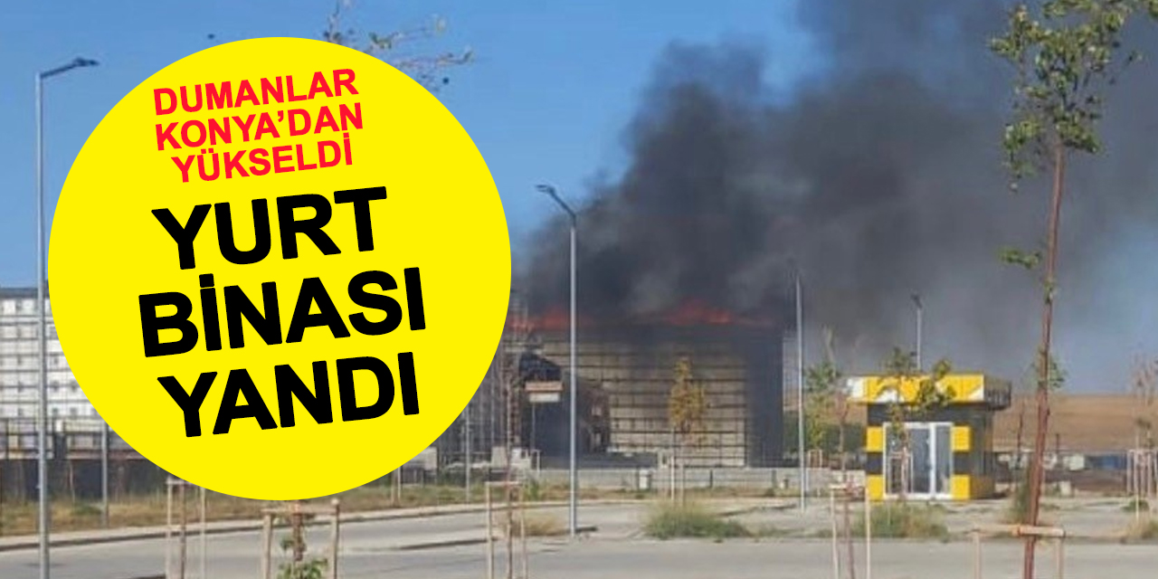 Tek Sevindirici Tarafı İçinde İnsan Olmaması