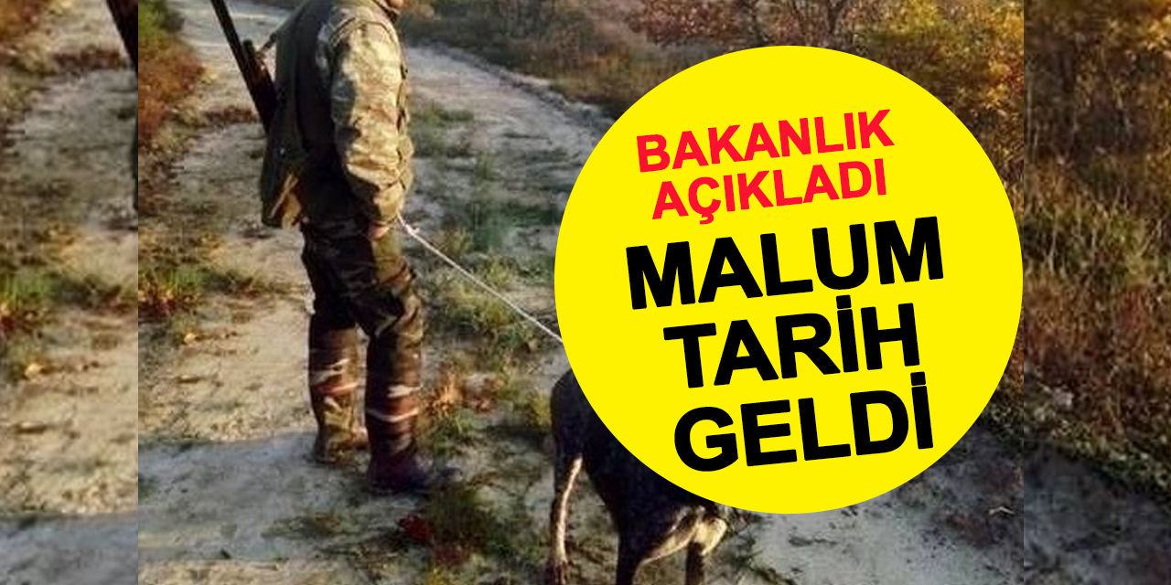 Ormanlarda 2025 Yılı İçin Avlanma Yasağı Erkene Alındı