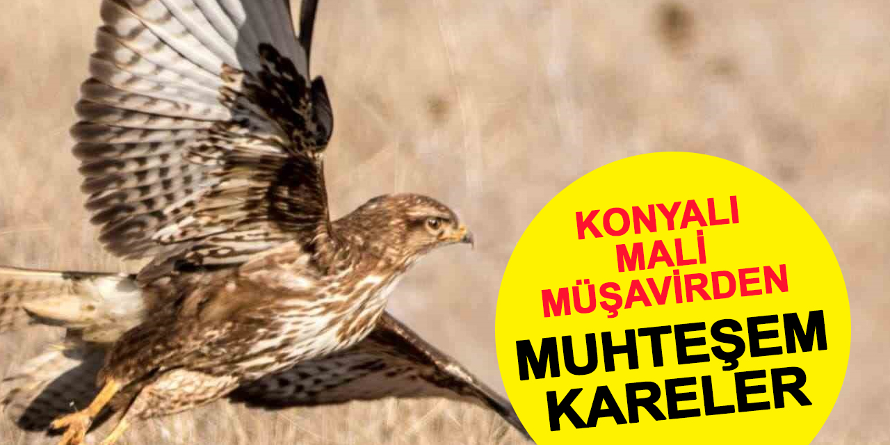 Konya'nın 180 Türünü Çekti