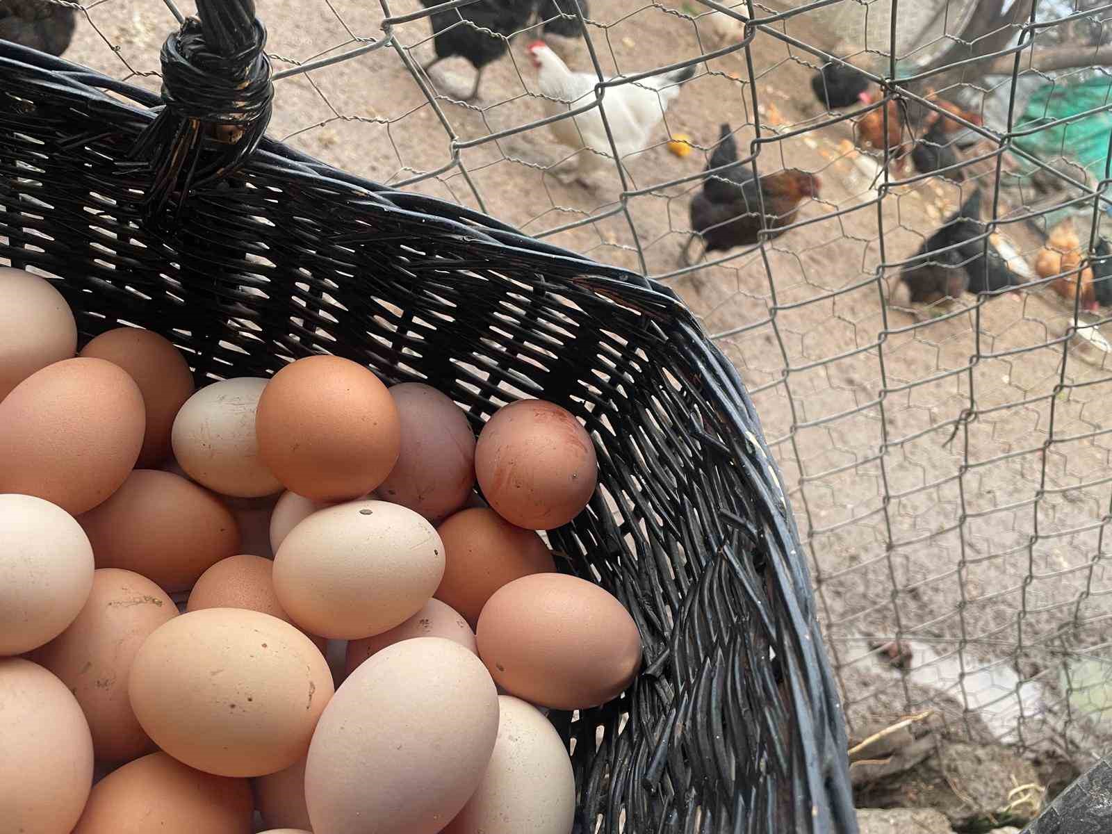 Yumurta Fiyatları Mayıs Çukurundan Çıkıyor