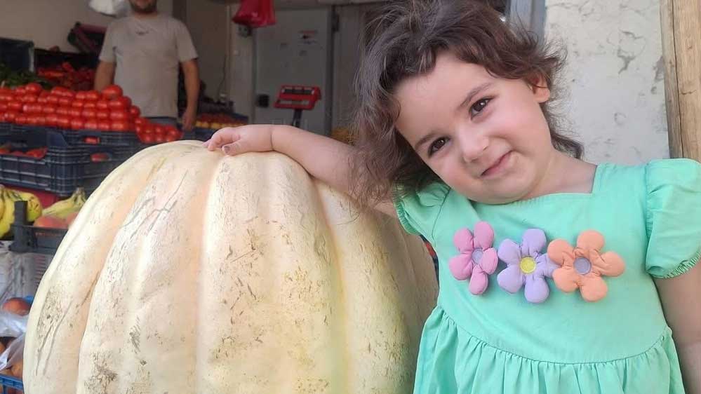 85 Kiloluk Dev Bal Kabağı İlgi Odağı Oldu