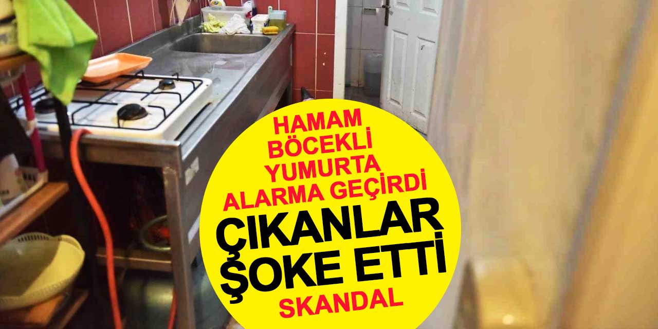 Skandal! Hamam böcekli yumurta alarma geçirdi, çıkanlar şoke etti