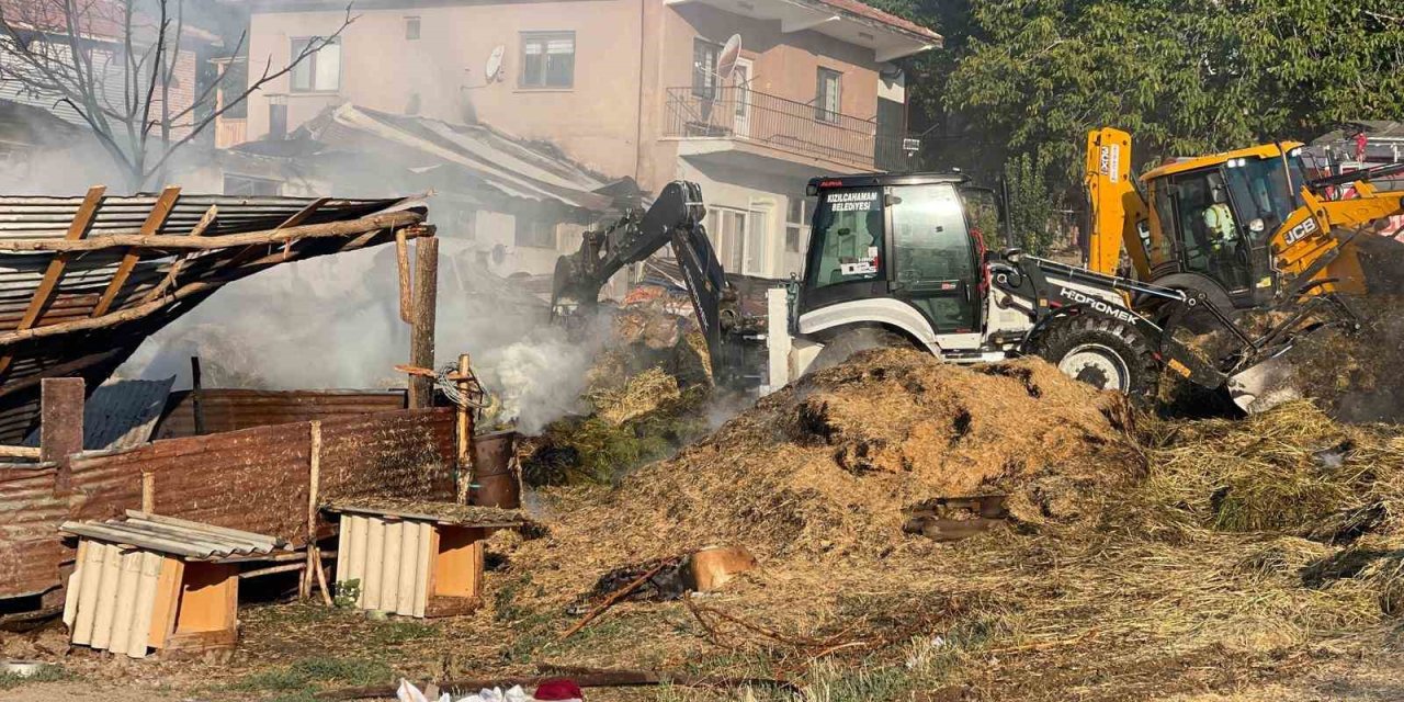 Besi çiftliği alevlere teslim oldu