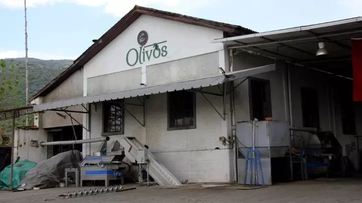 Olivos'tan Konkordato