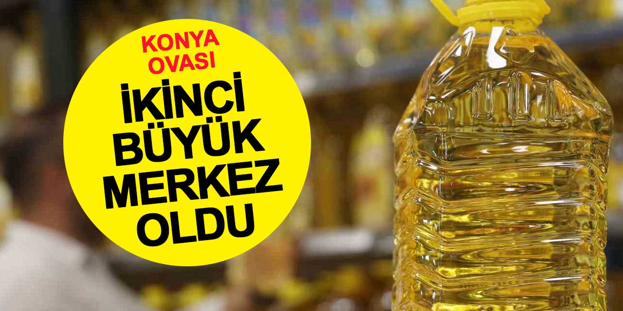 Konya Ovası ayçiçek üretiminde ikinci büyük merkez oldu