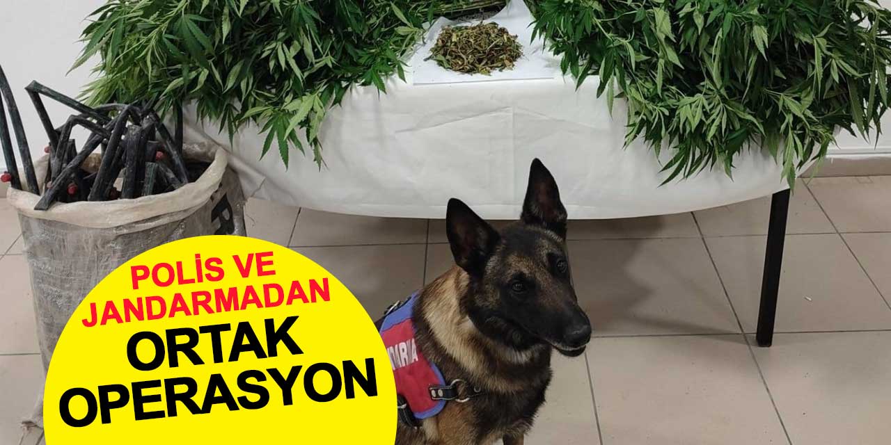 Konya’da jandarma ve polisten ortak zehir operasyonu