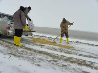 Yabani kuşlara yem bırakıldı