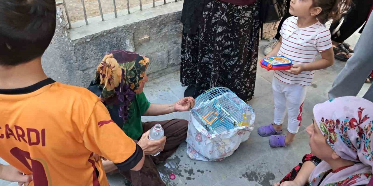 Evinde yangın çıkan kadın, can yoldaşını ölüme terk etmedi