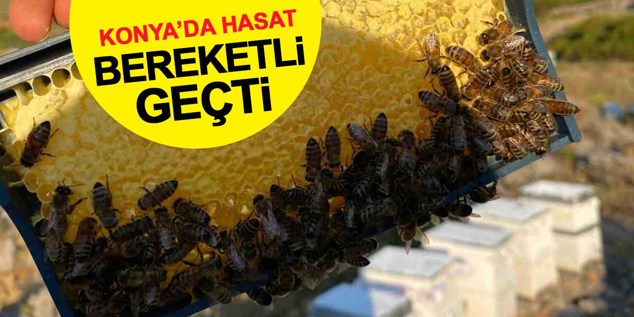 Konya'da Bal Hasadı Bereketli Geçti