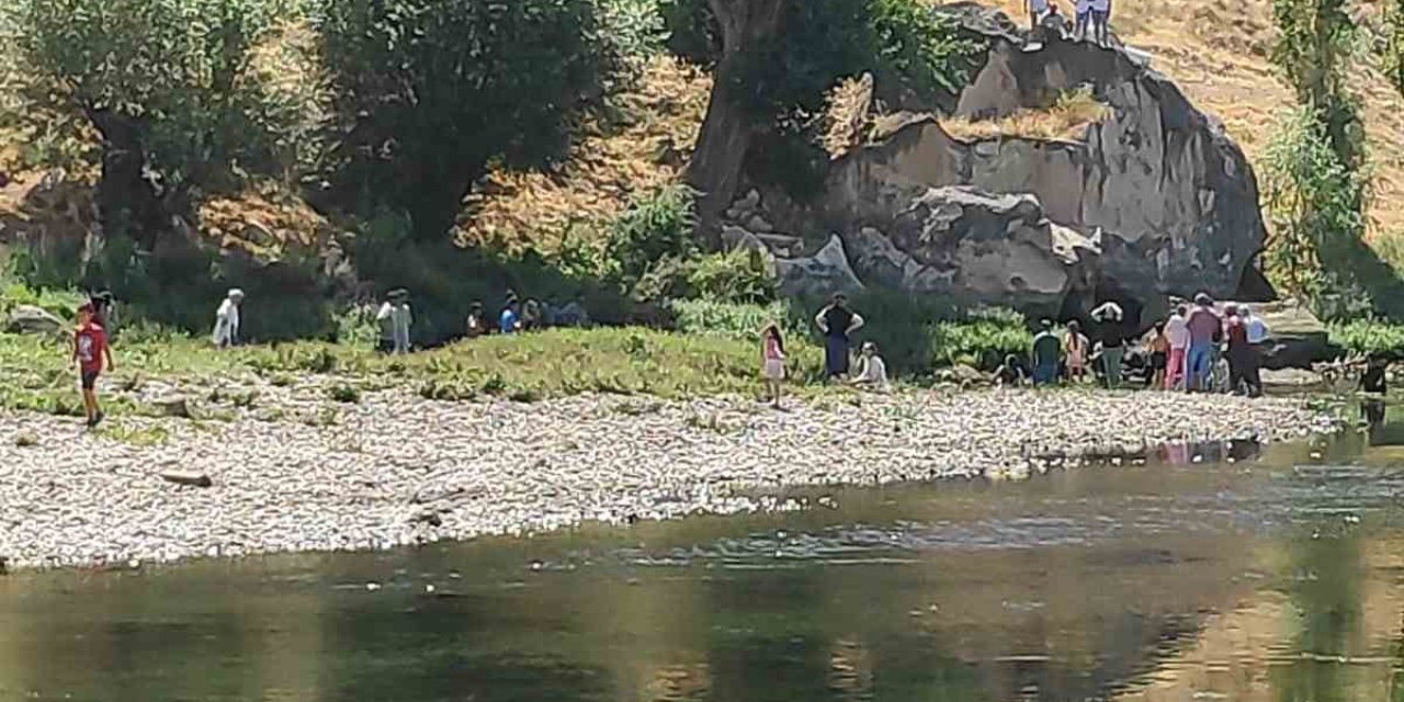 Kuzenini kurtardı, kendi can verdi