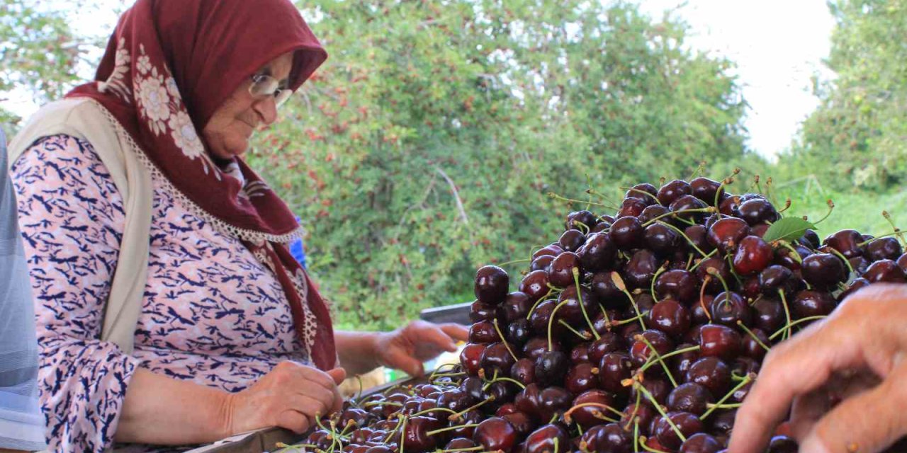 Yaş meyve ve sebze ihracatçıları kur dengesizliğinden şikâyetçi