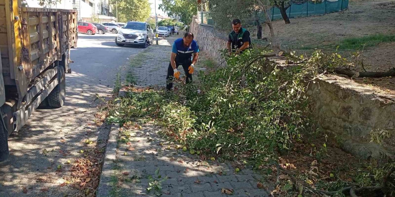Hem ağaçlar budanıyor hem ihtiyaç sahiplerine yakacak çıkıyor