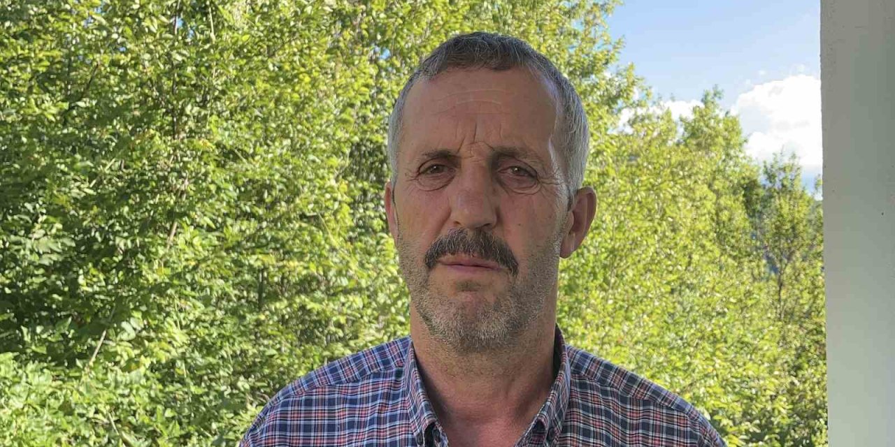 Orman işçisi kestiği ağacın altında kaldı, hastanede hayatını kaybetti