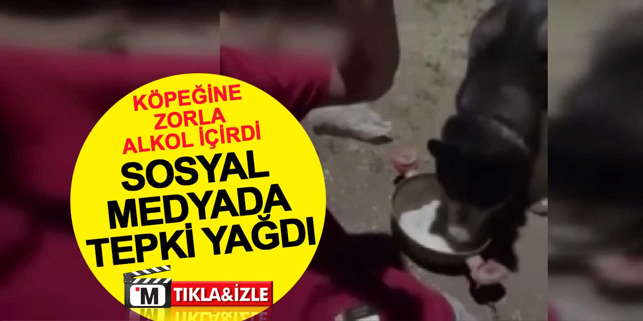 Köpeğine zorla alkol içirdi, sosyal medyada tepki yağdı
