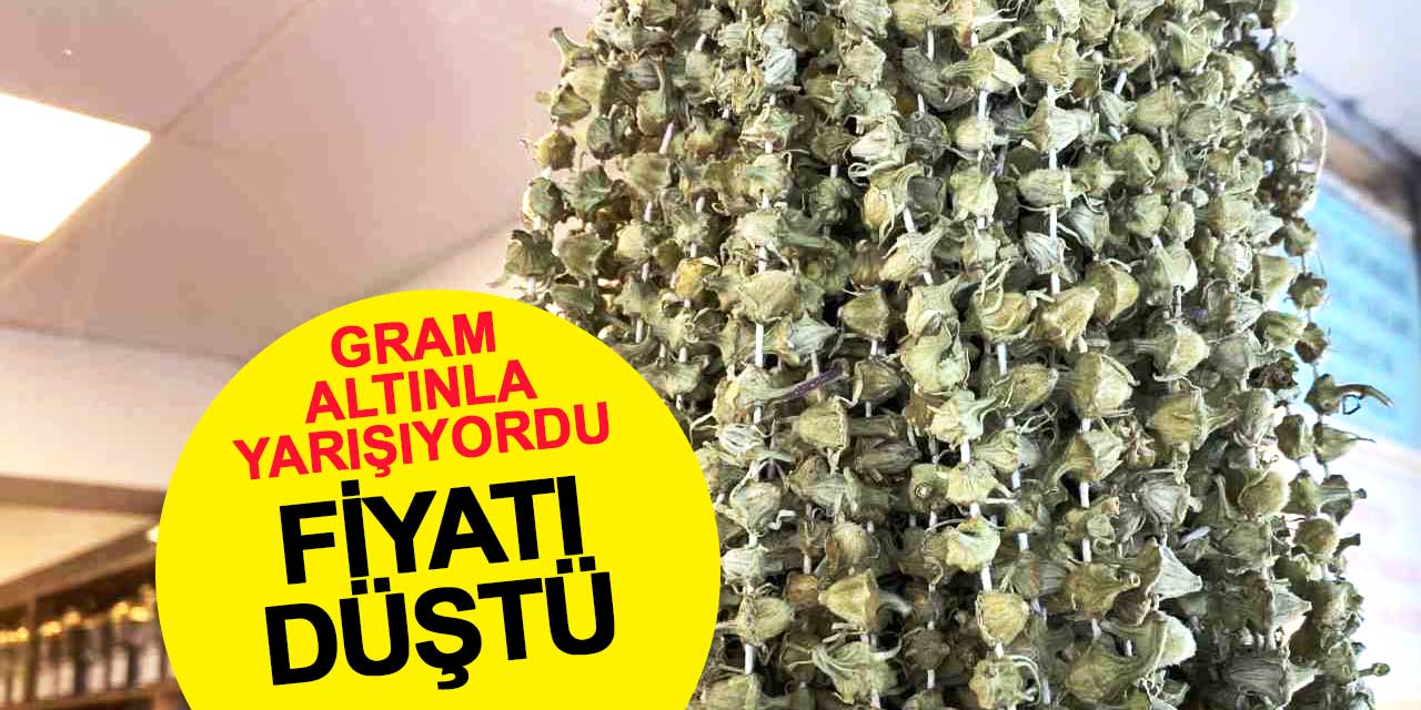 Gram altınla yarışan çiçek bamyada fiyat düştü