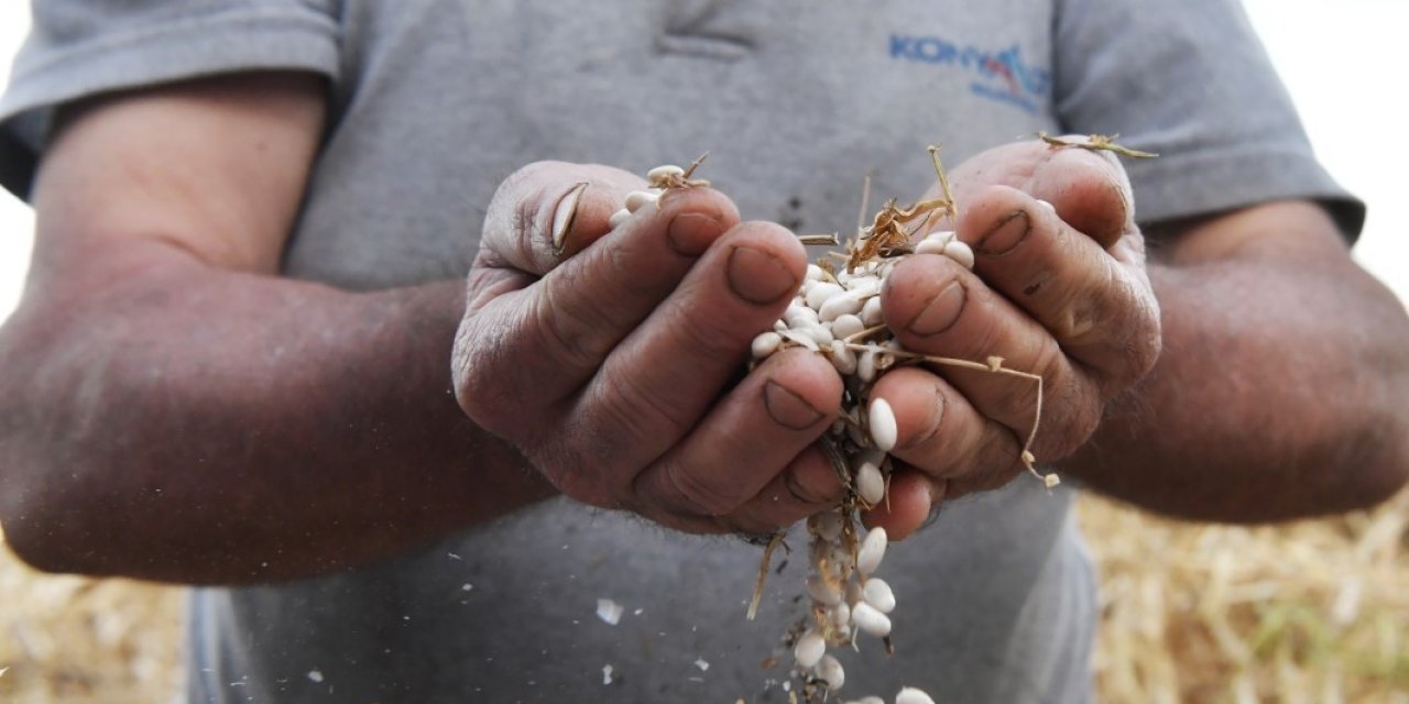 Çandır fasulyesi için coğrafi işaret başvurusu yapıldı