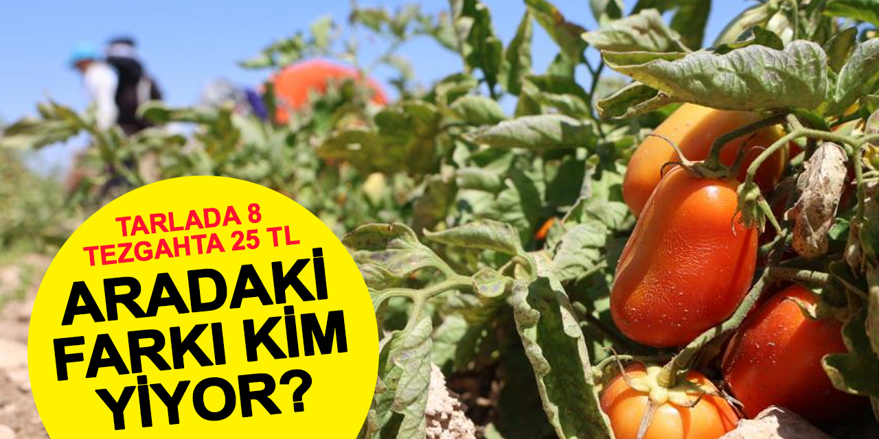 Tarlada 8 Lira, Markette 25 Lira: Aradaki Farkı Kim Yiyor?
