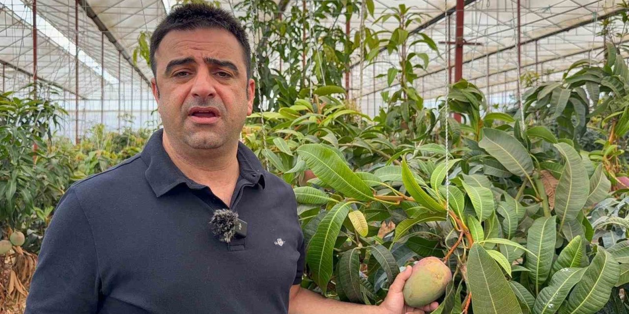 İlçeden Terkedeceklerdi Mango Gazipaşa'nın Kaderini Değiştirdi