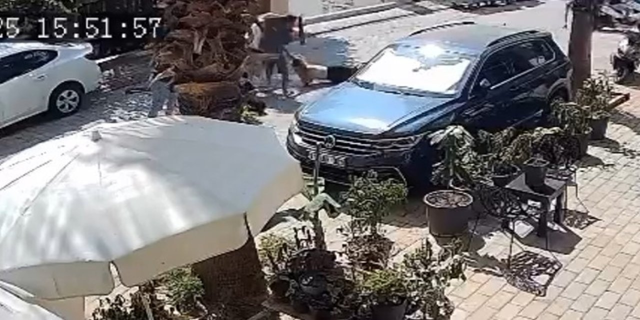 Alanya Fight Club! İki Grup Böyle Kavga Etti