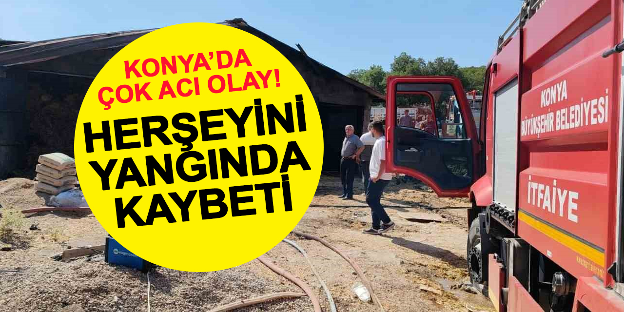 İtfaiyenin Cansiperane Müdahalesi 6 Hayvanı Kurtarmaya Yetmedi