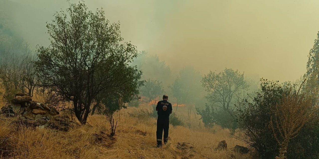 Konya'da Orman Yangını Son Anda Önlendi