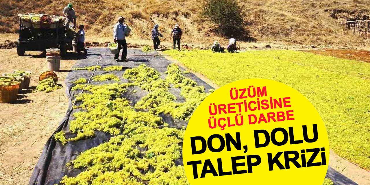 Üzüm Üreticisine Üçlü Darbe: Don, Dolu, Talep Krizi