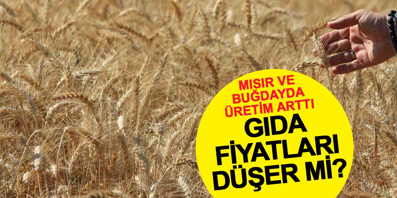 Mısır ve Buğdayda Üretim Artışı Gıda Fiyatlarını Düşürebilir mi?
