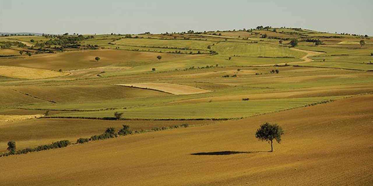 İşlenmeyen Tarım Arazileri Üretime Açılıyor: Kiralama Başvuruları Başladı, İşte Detaylar