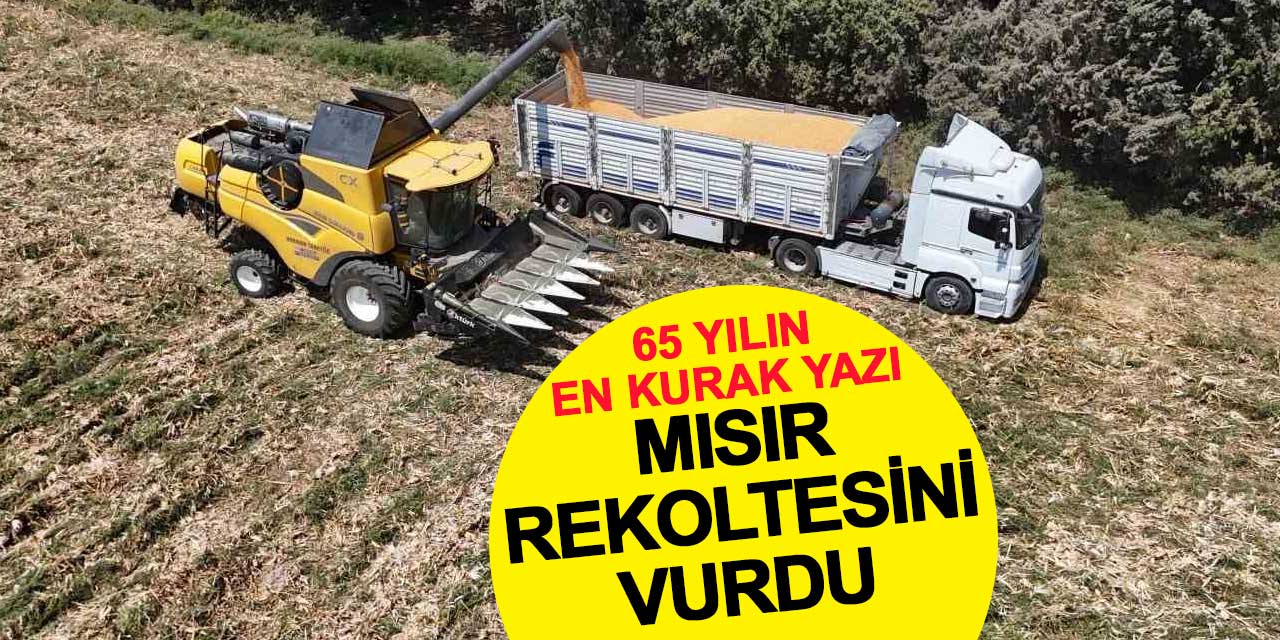 65 Yılın En Kurak Yazı Mısır Rekoltesini Vurdu