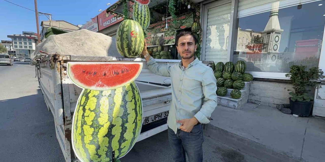 Gece yarısı gelen hırsız, 15 karpuzu çalıp kaçtı