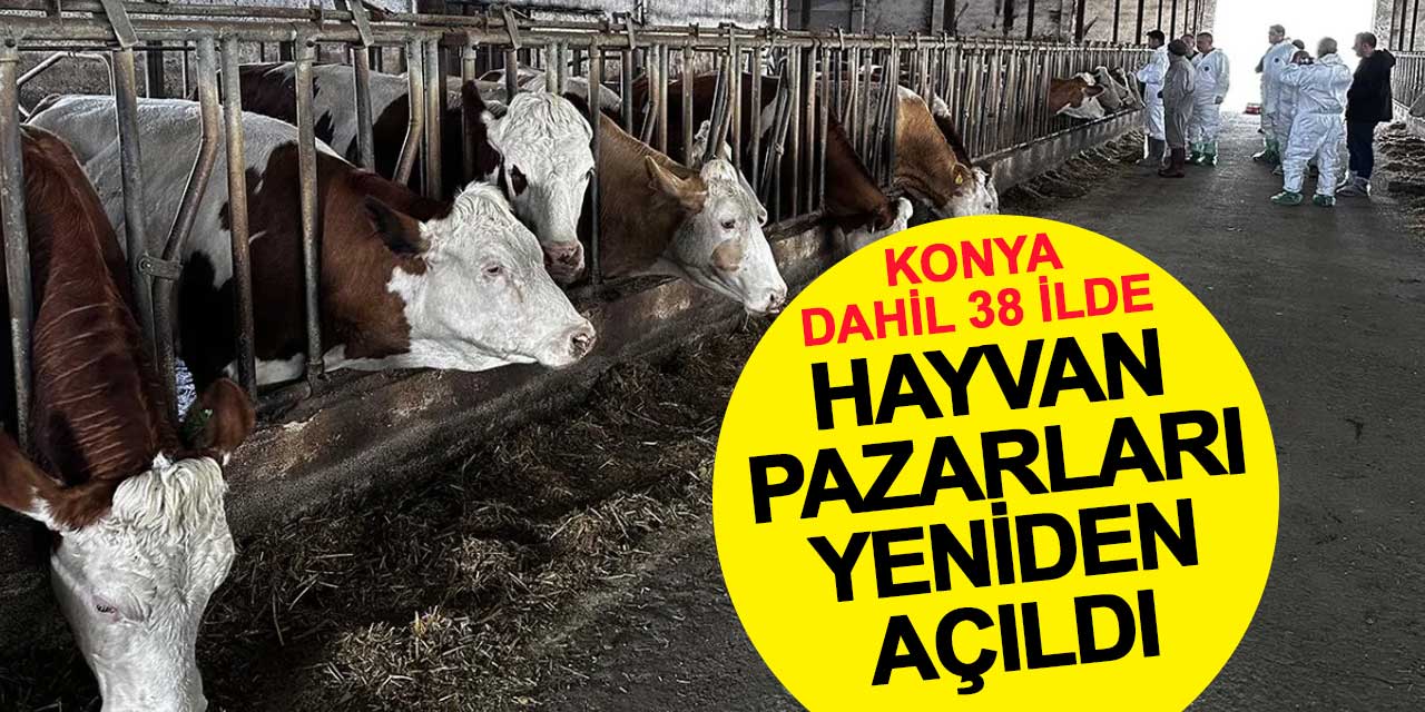 Konya Dahil 38 İlde Hayvan Pazarları Yeniden Açıldı