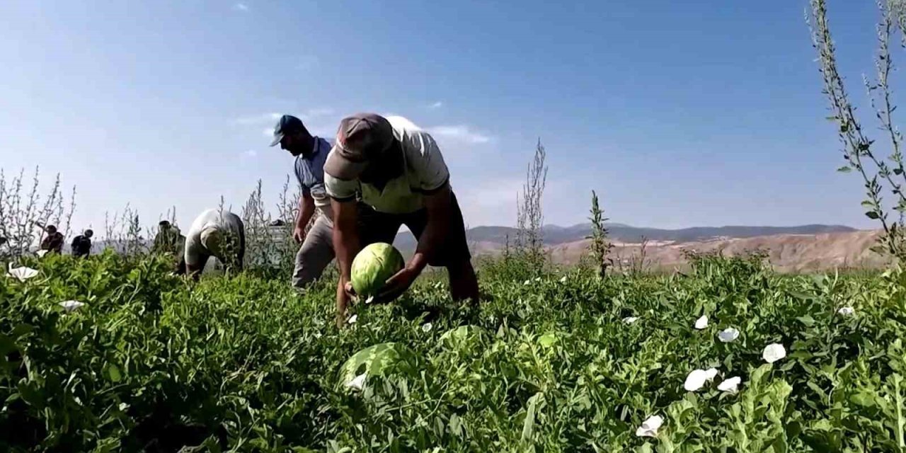 Karpuzun fiyatı 70 kilometrede 30’a katlanıyor