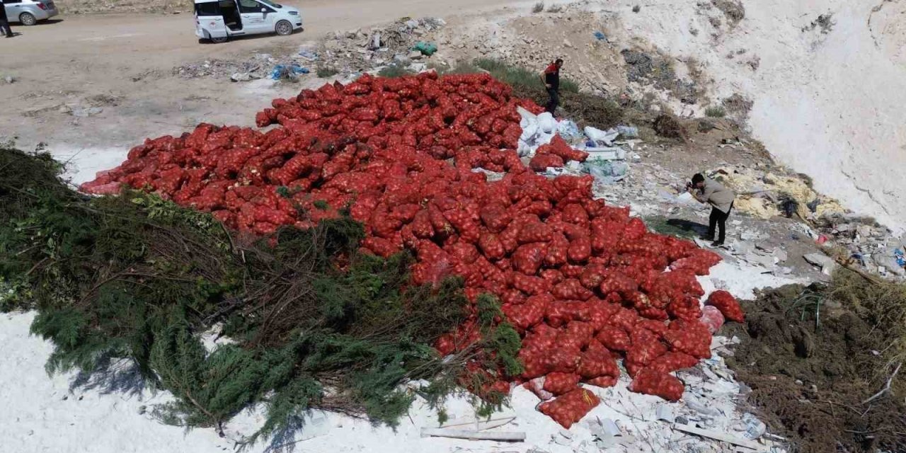 Tonlarca Kuru Soğan Boş Araziye Atıldı: Vatandaşlar Tepkili, Yetkililer İnceleme Başlattı