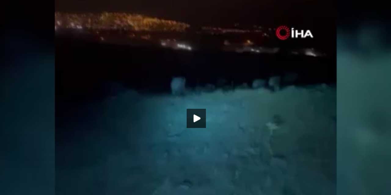 Domuz Sürüsünü Motosikletle Kovaladılar