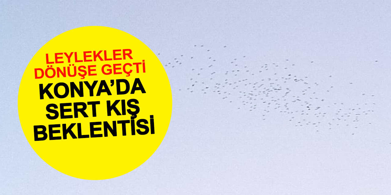 Konya Semalarında Leylek Göçü: Halk Sert Kış Bekliyor