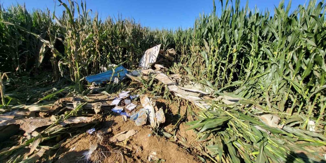 İzmir’deki eğitim uçağı kazasının görüntüsü ortaya çıktı